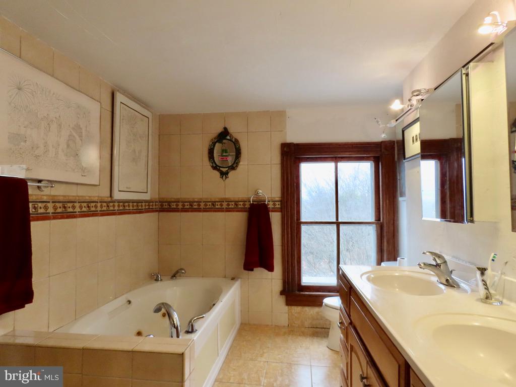 365 Tiger Valley Road Washington, VA 22747 - Photo 26 of 53 Primary Bathroom