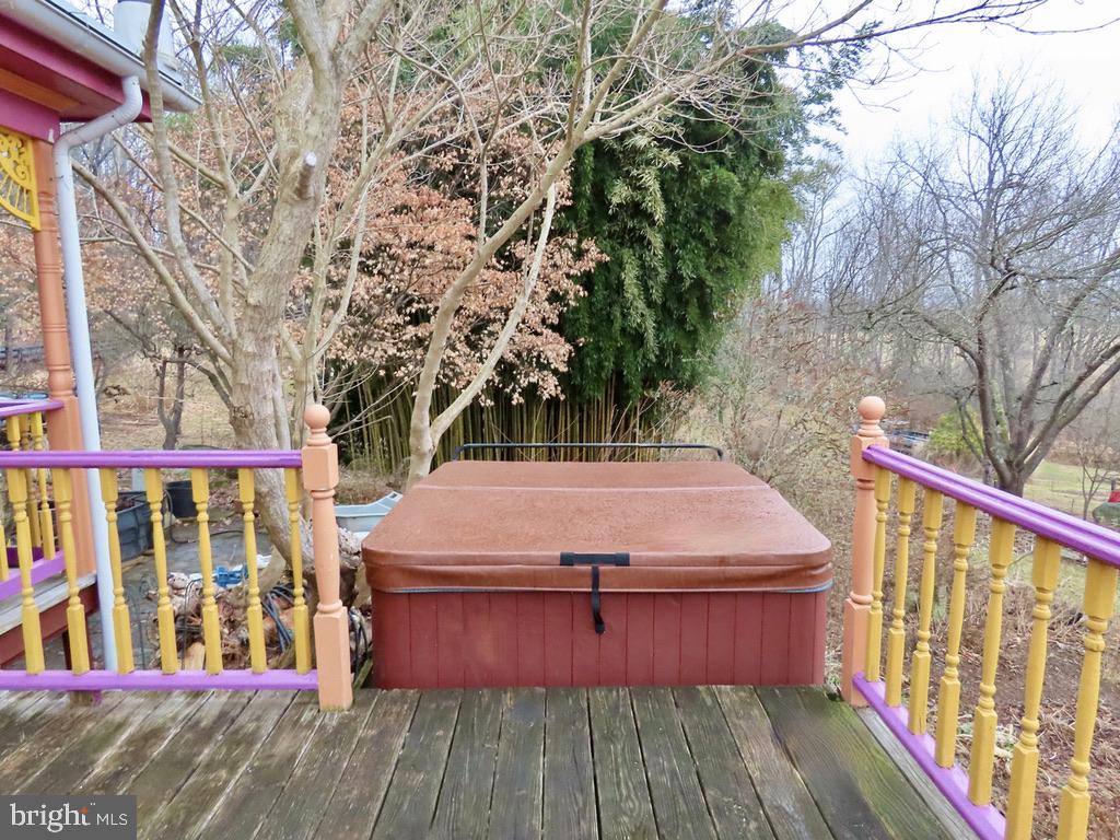 365 Tiger Valley Road Washington, VA 22747 - Photo 39 of 53 Hot tub