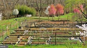365 Tiger Valley Road Washington, VA 22747 - Photo 41 of 53 Garden beds created for organic farming