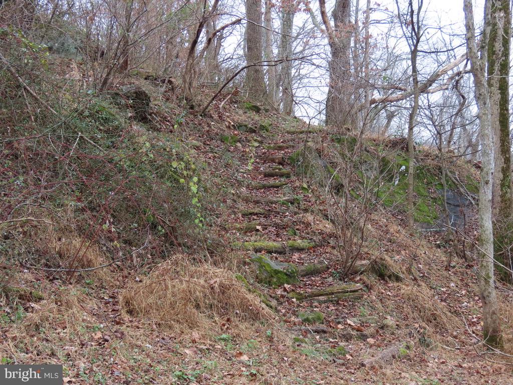 365 Tiger Valley Road Washington, VA 22747 - Photo 48 of 53 Steps down to the Rush River