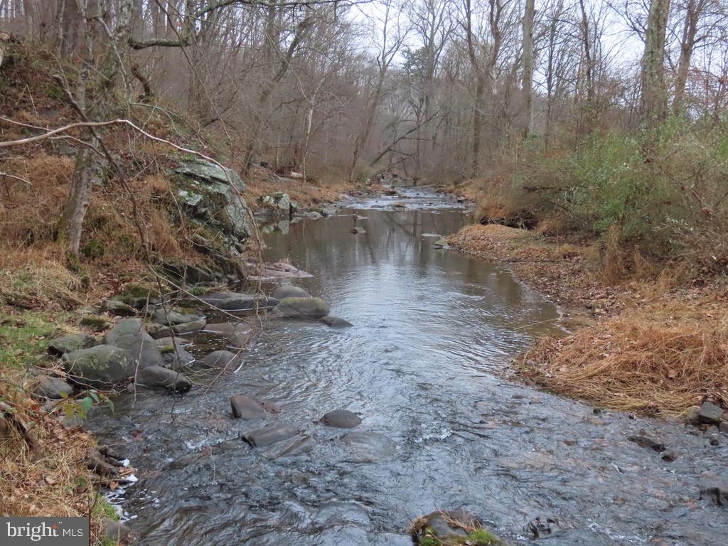 365 Tiger Valley Road Washington, VA 22747 - Photo 49 of 53 Rush River from the second lot