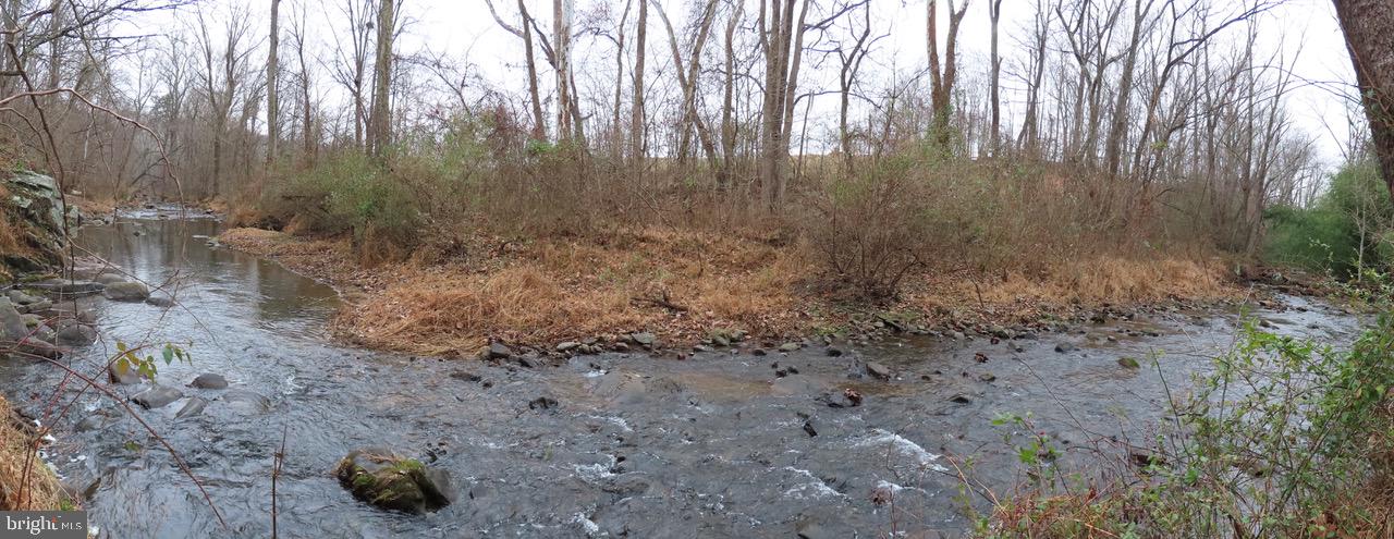 365 Tiger Valley Road Washington, VA 22747 - Photo 50 of 53 River bends to view upstream and downstream