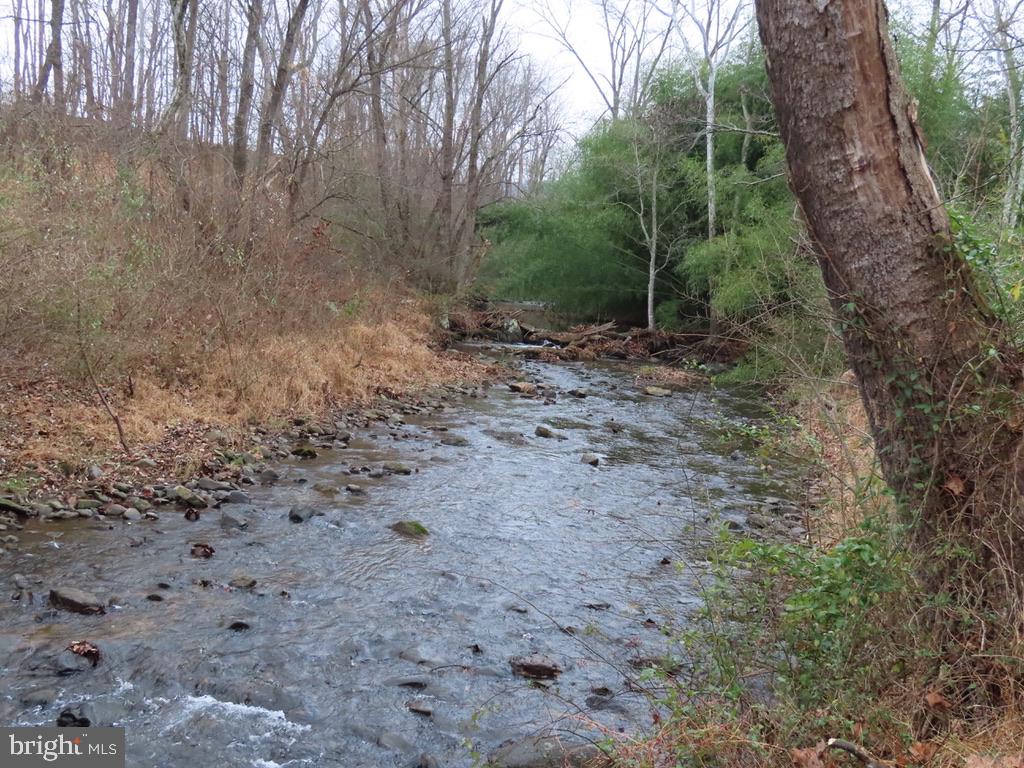 365 Tiger Valley Road Washington, VA 22747 - Photo 51 of 53 Rush River from second lot