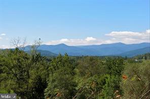 365 Tiger Valley Road Washington, VA 22747 - Photo 6 of 53 Blue Ridge Mountain views