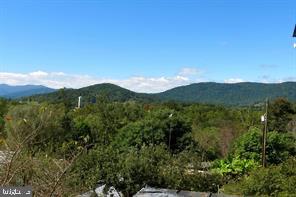 365 Tiger Valley Road Washington, VA 22747 - Photo 7 of 53 Blue Ridge Mountain views