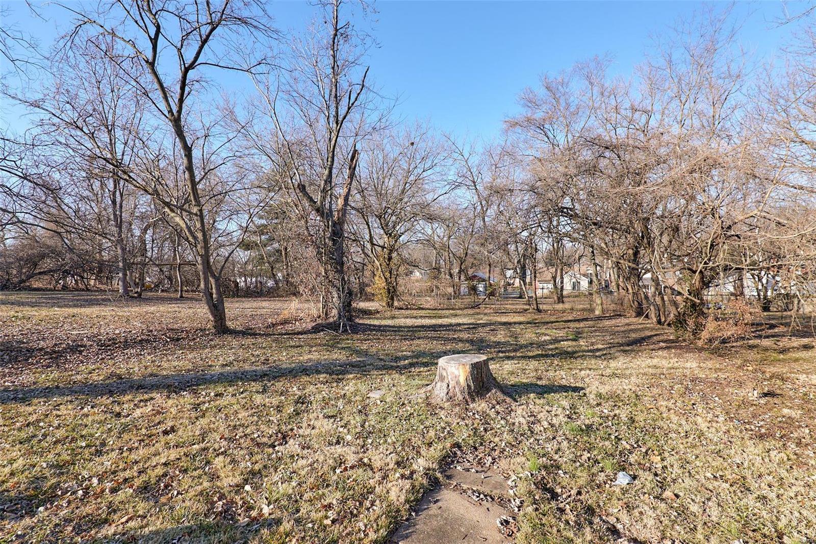 3411 Brown Road St. Louis, MO 63114 - Photo 45 of 50 Gallery Image 45