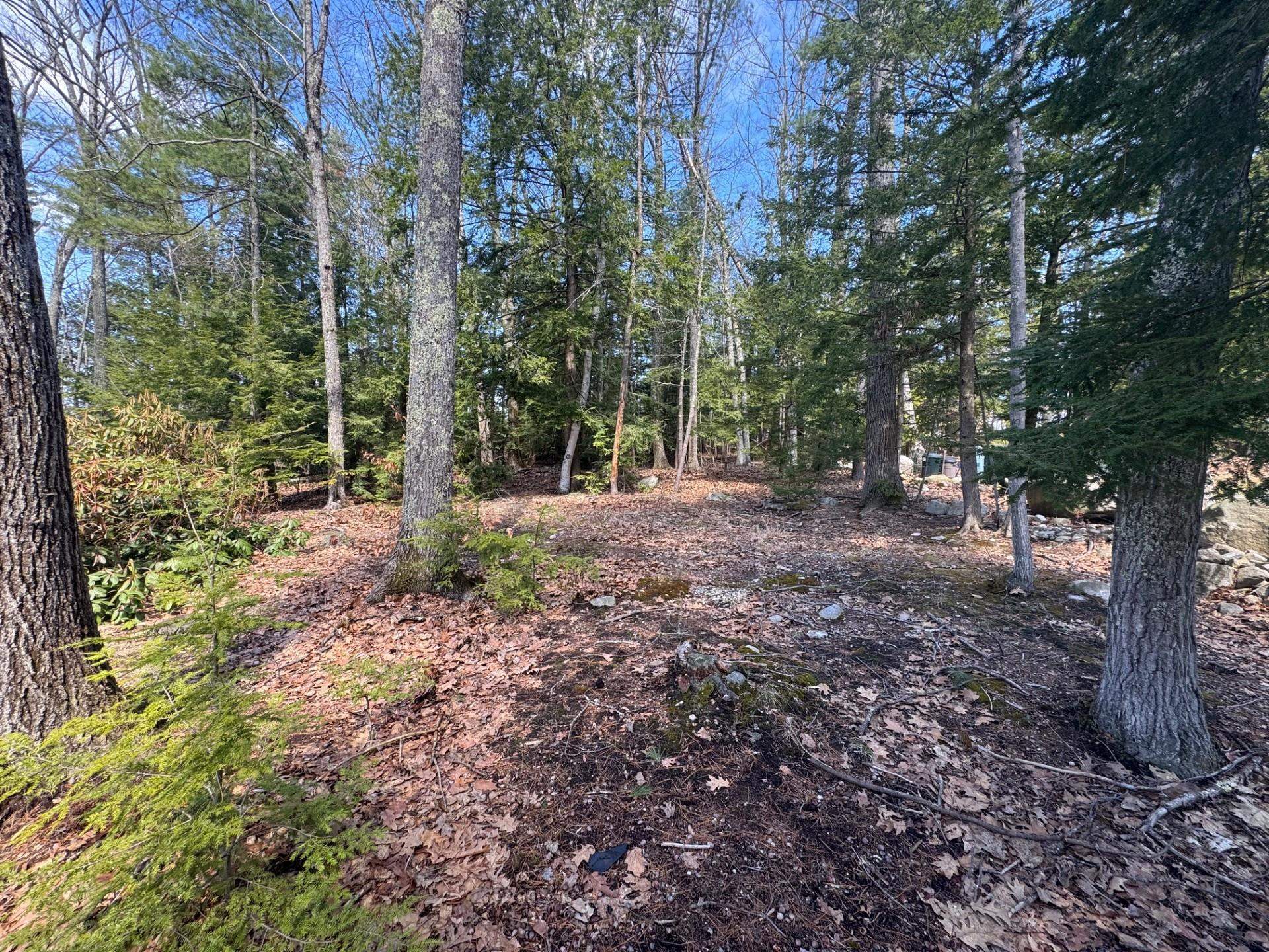 272 Jaffrey Road Marlborough, NH 03455 - Photo 4 of 20