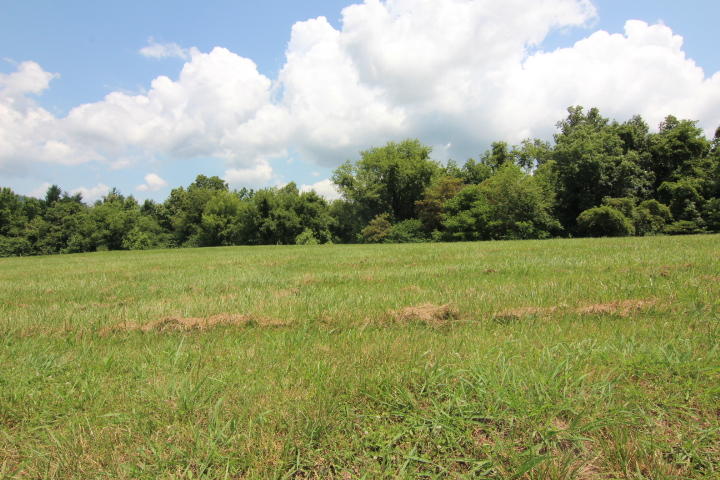 0 Harbor View Road Butler, TN 37640 - Photo 2 of 13 TREES FOR PRIVACY