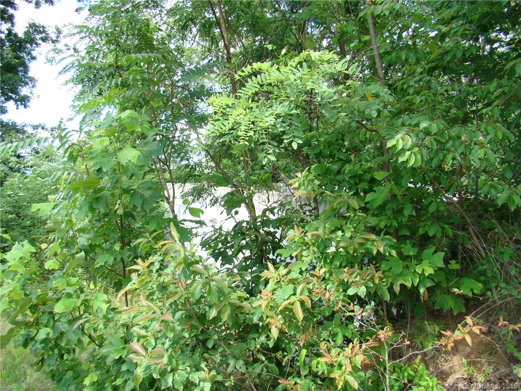 207 Side Road Bostic, NC 28018 - Photo 11 of 13 a view of a lush green space
