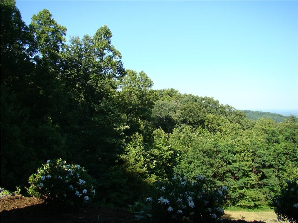 207 Side Road Bostic, NC 28018 - Photo 6 of 13 a view of a garden