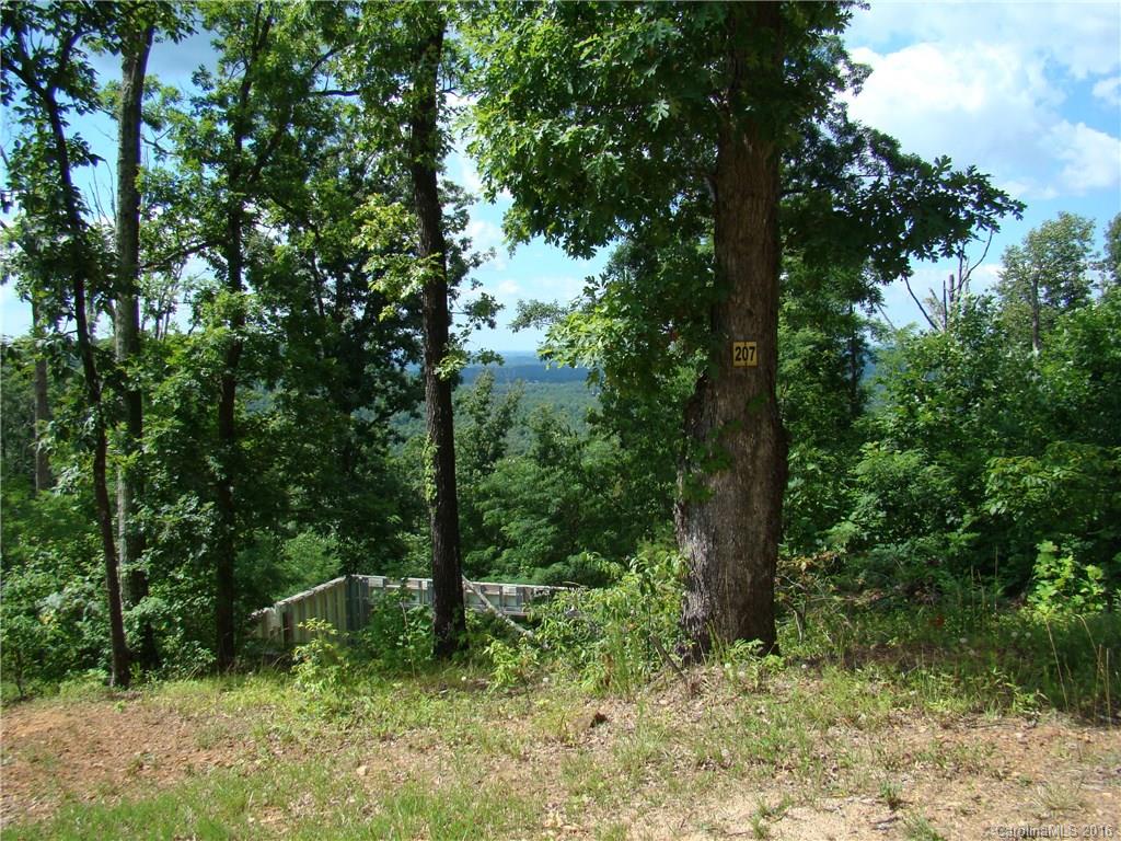 207 Side Road Bostic, NC 28018 - Photo 7 of 13 a big yard with lots of green space and house in the back
