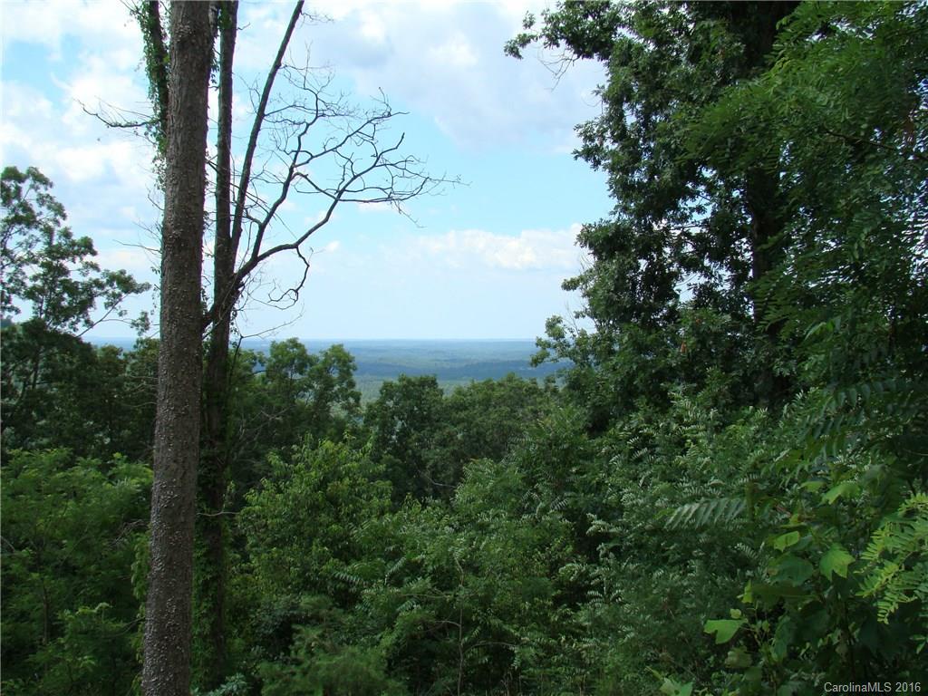 207 Side Road Bostic, NC 28018 - Photo 8 of 13 a view of a trees in a yard
