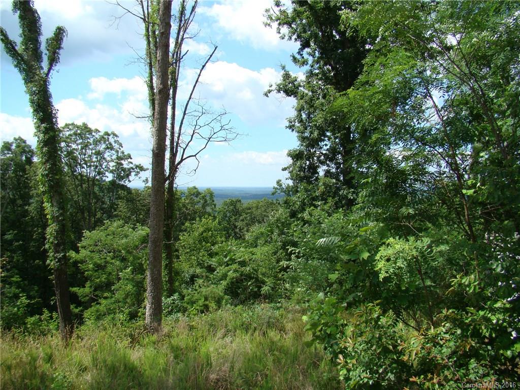 207 Side Road Bostic, NC 28018 - Photo 9 of 13 a view of a garden