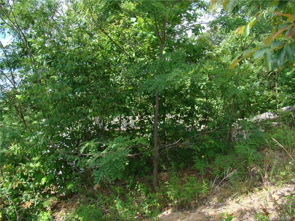 207 Side Road Bostic, NC 28018 - Photo 10 of 13 a view of a lush green forest