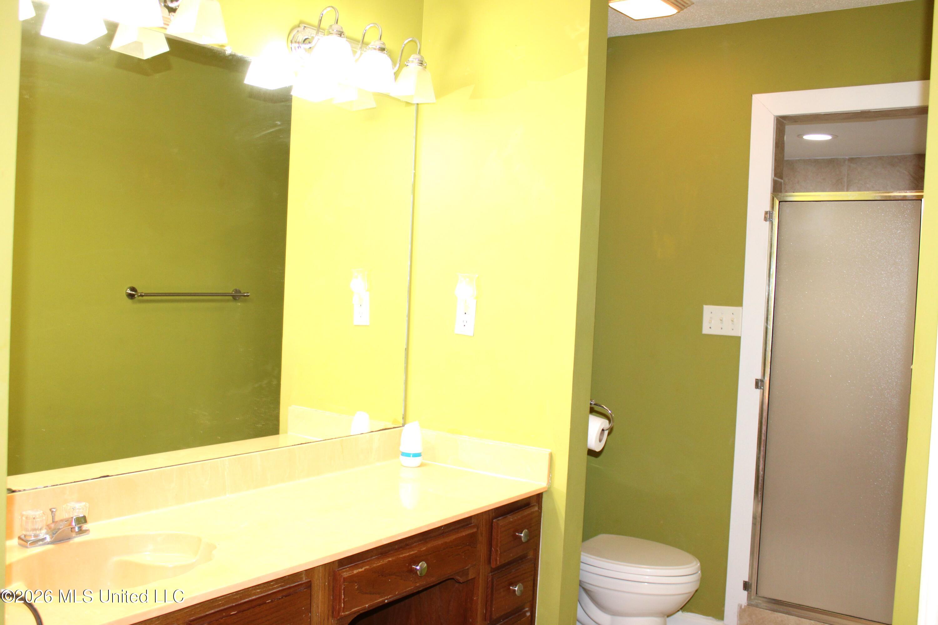 7338 Alexander Road Olive Branch, MS 38654 - Photo 14 of 32 Primary Bathroom