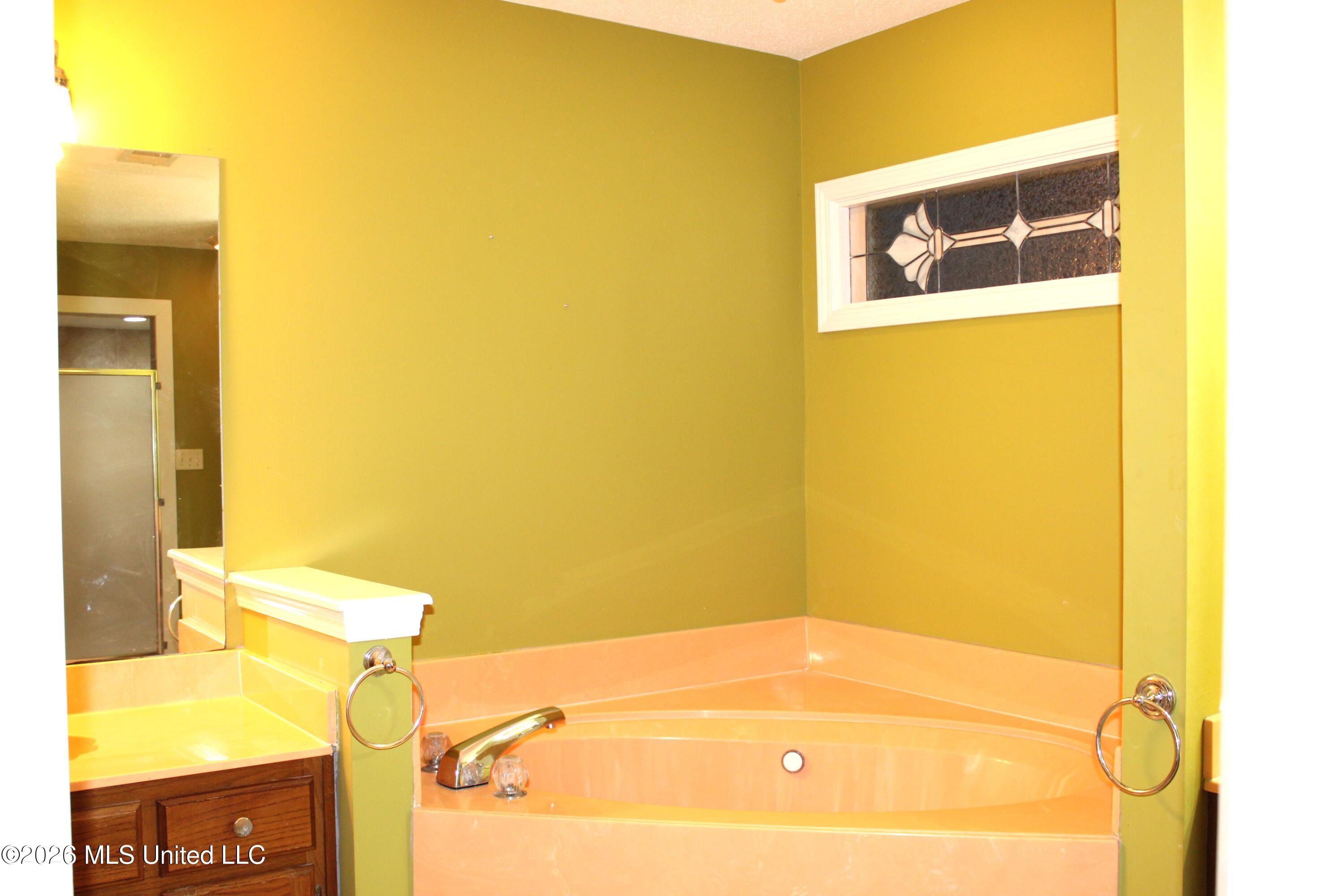 7338 Alexander Road Olive Branch, MS 38654 - Photo 15 of 32 IMPrimary BathroomG_0827