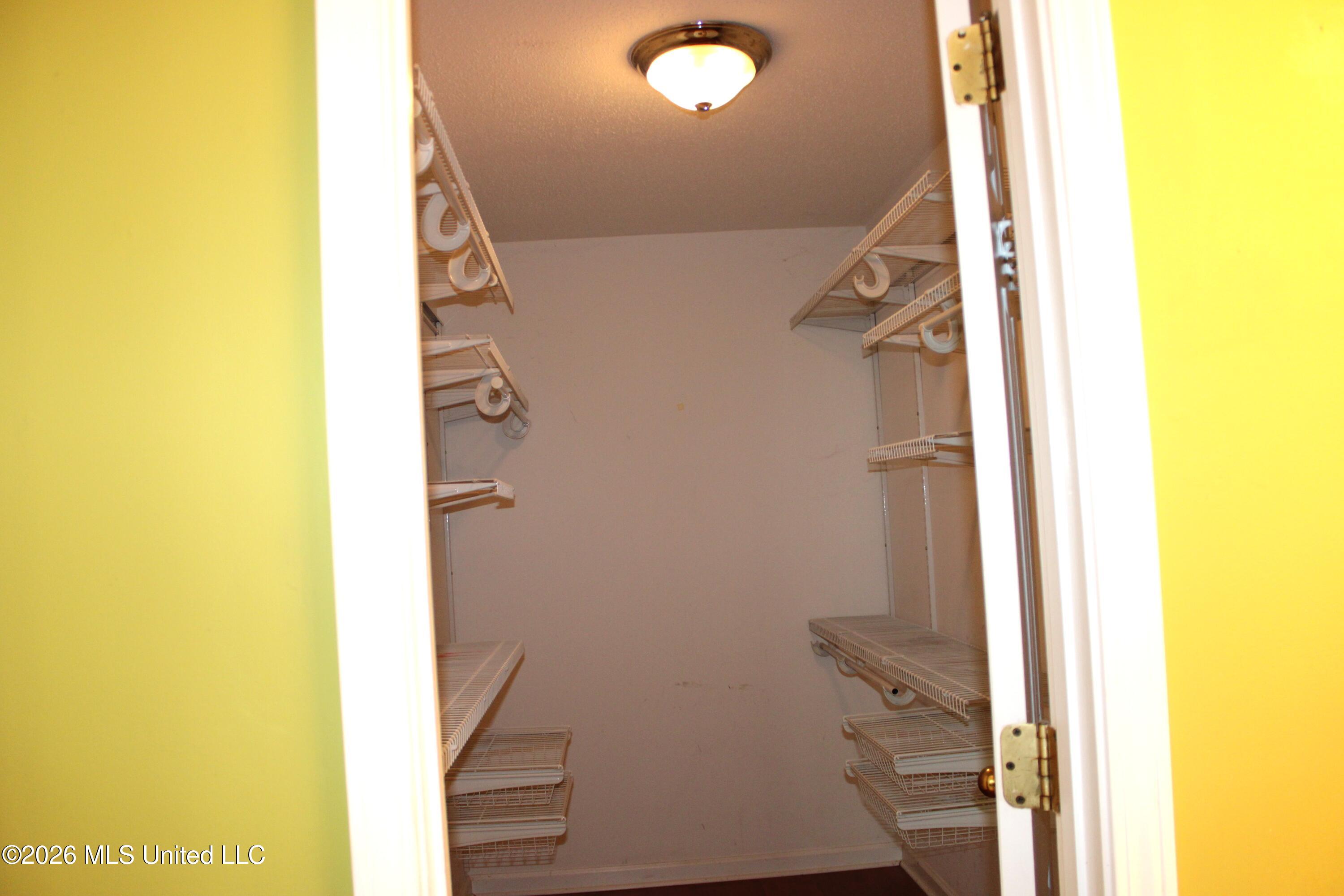 7338 Alexander Road Olive Branch, MS 38654 - Photo 17 of 32 Primary Bathroom