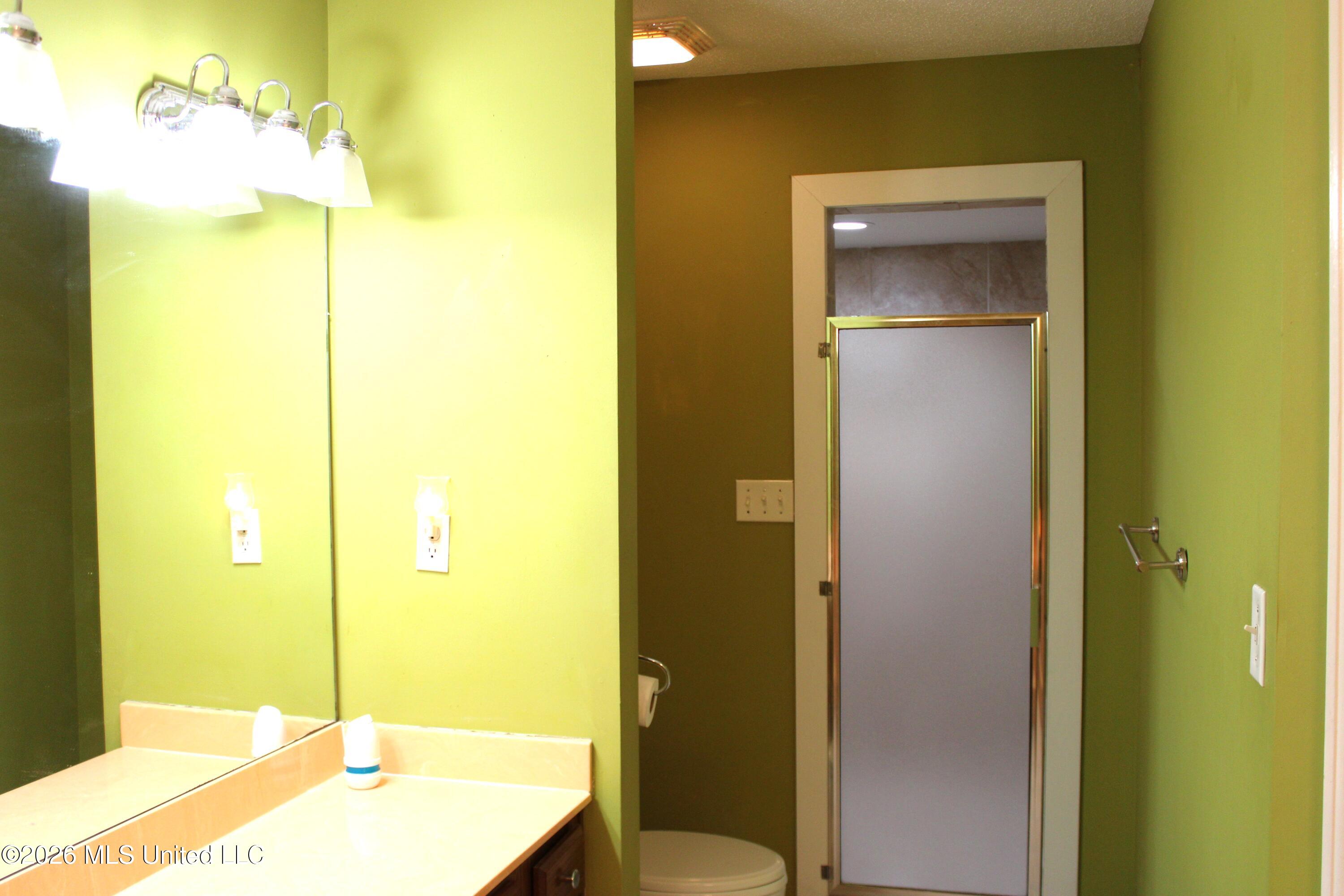 7338 Alexander Road Olive Branch, MS 38654 - Photo 19 of 32 Primary Bathroom