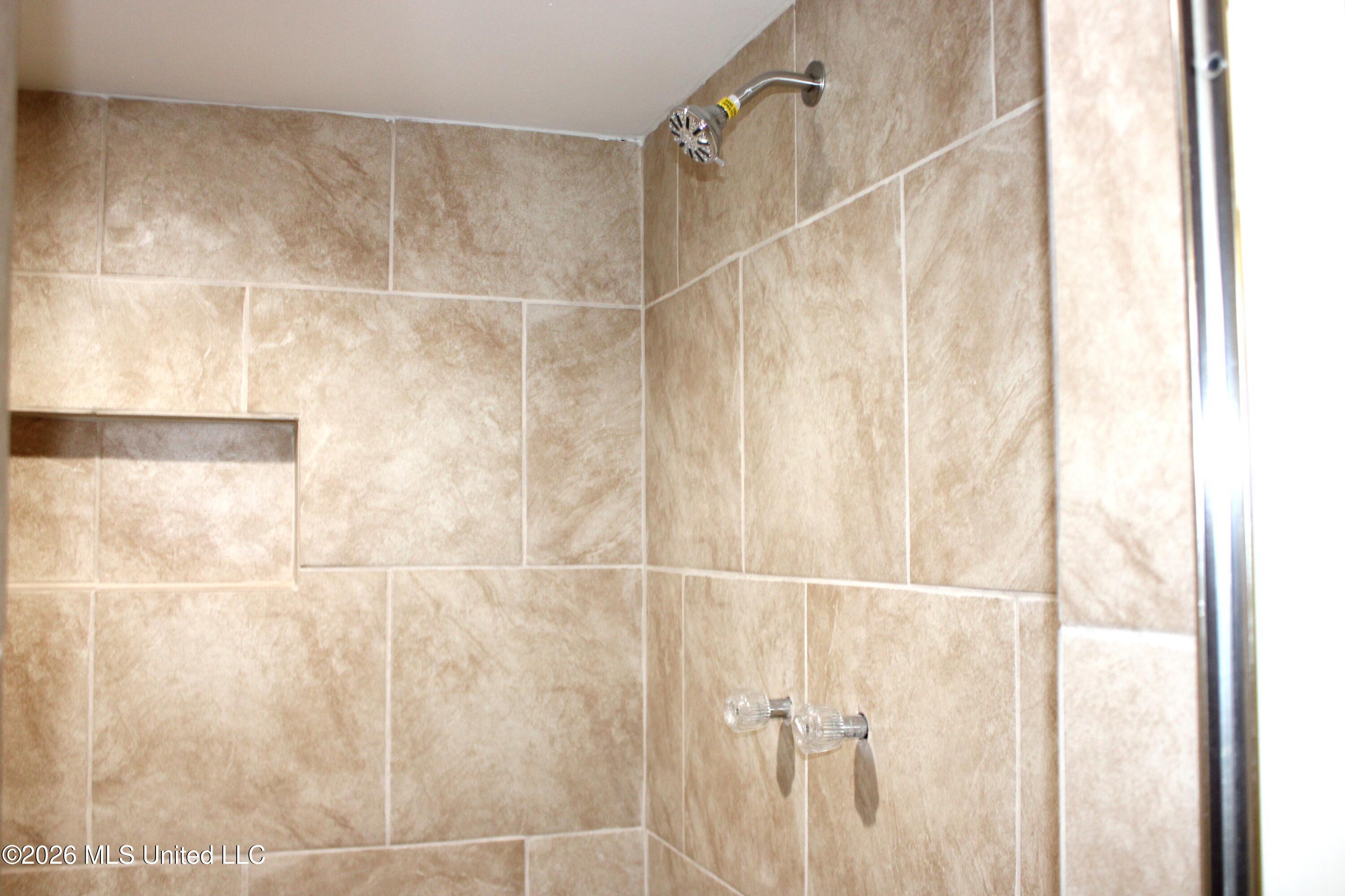 7338 Alexander Road Olive Branch, MS 38654 - Photo 20 of 32 Primary Bathroom