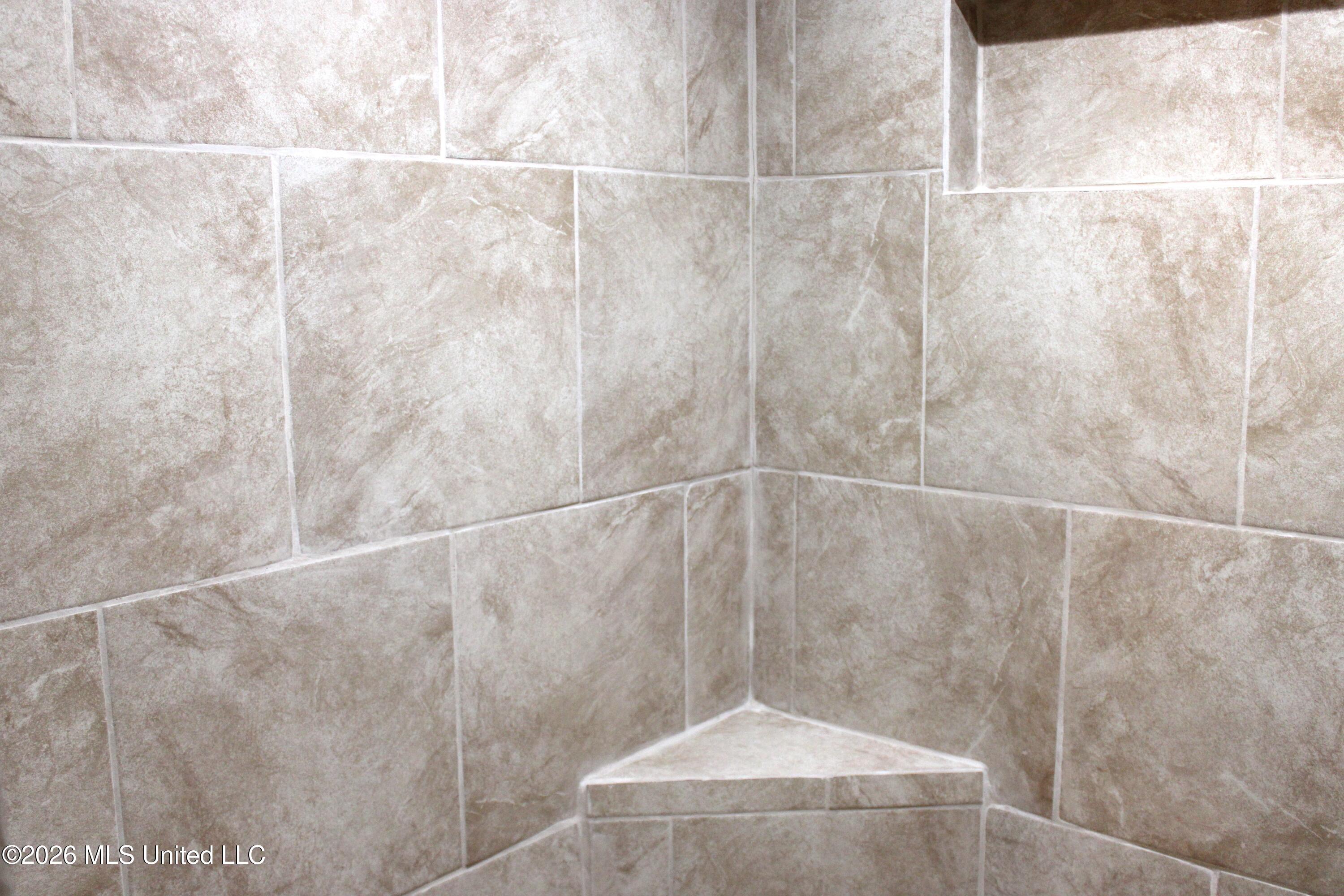 7338 Alexander Road Olive Branch, MS 38654 - Photo 21 of 32 IMG_0Primary Bathroom836