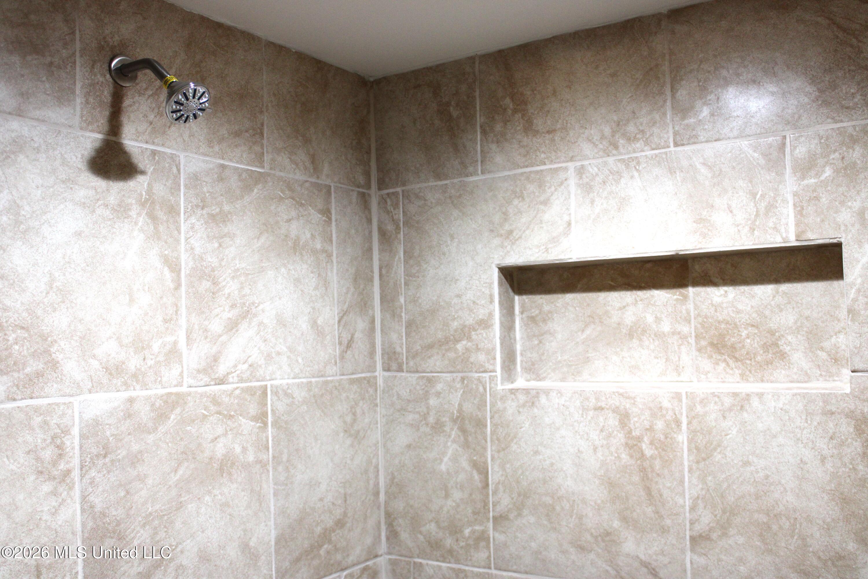 7338 Alexander Road Olive Branch, MS 38654 - Photo 22 of 32 IMG_Primary Bathroom0837