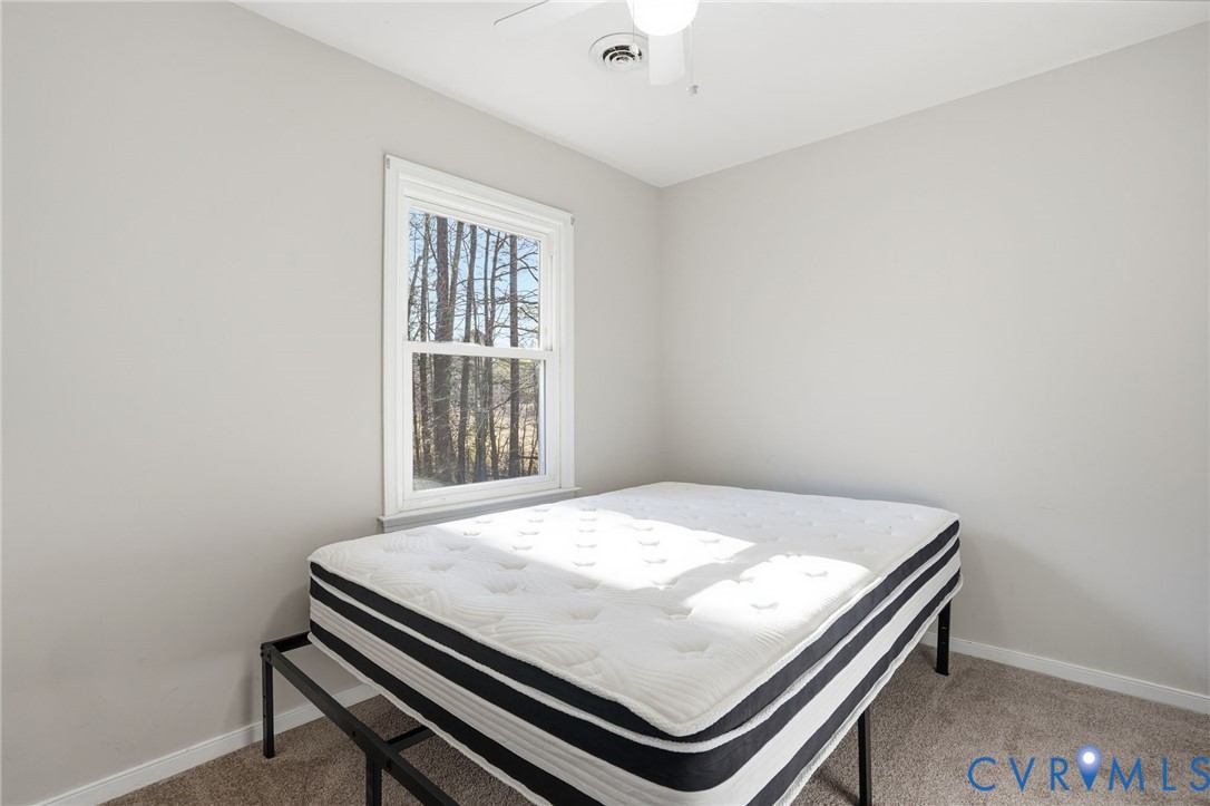 3605 Whitehouse Road Colonial Heights, VA 23834 - Photo 25 of 46 Bedroom featuring light colored carpet and a ceili
