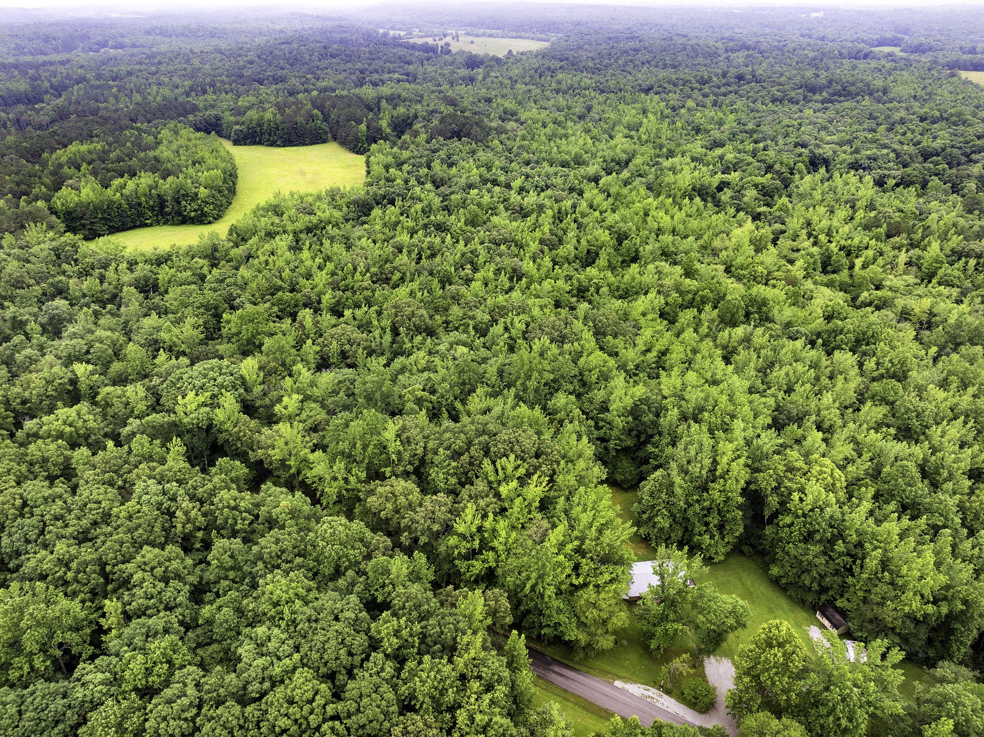 a view of a garden with a building