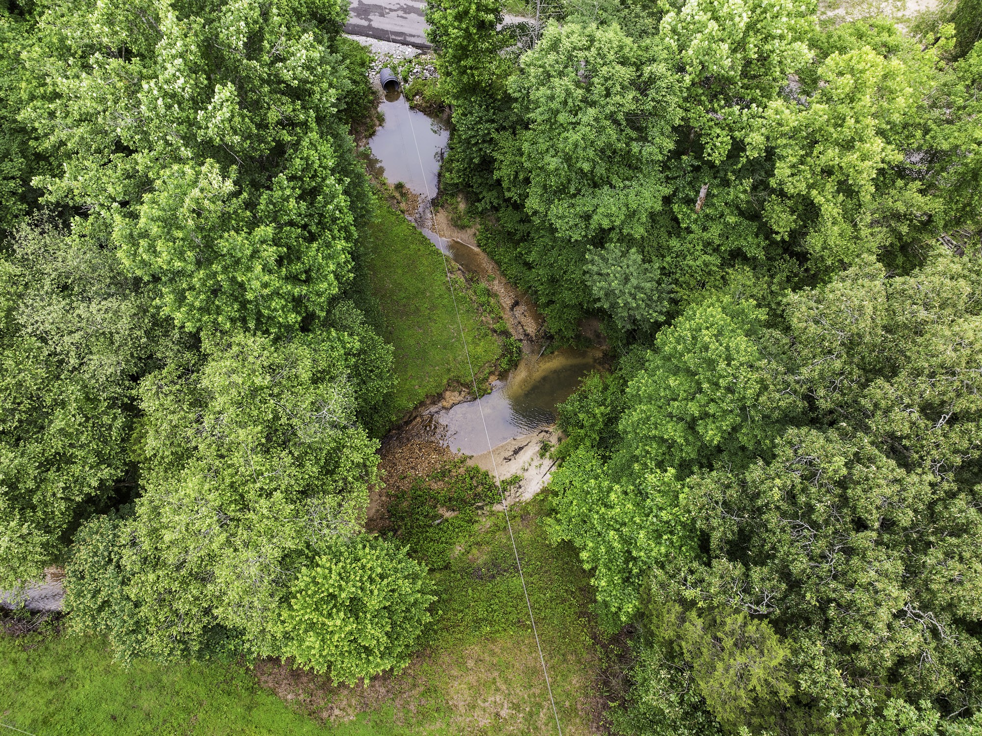 1303 Pugh Road Holladay, TN 38341 - Photo 12 of 32 a view of a garden