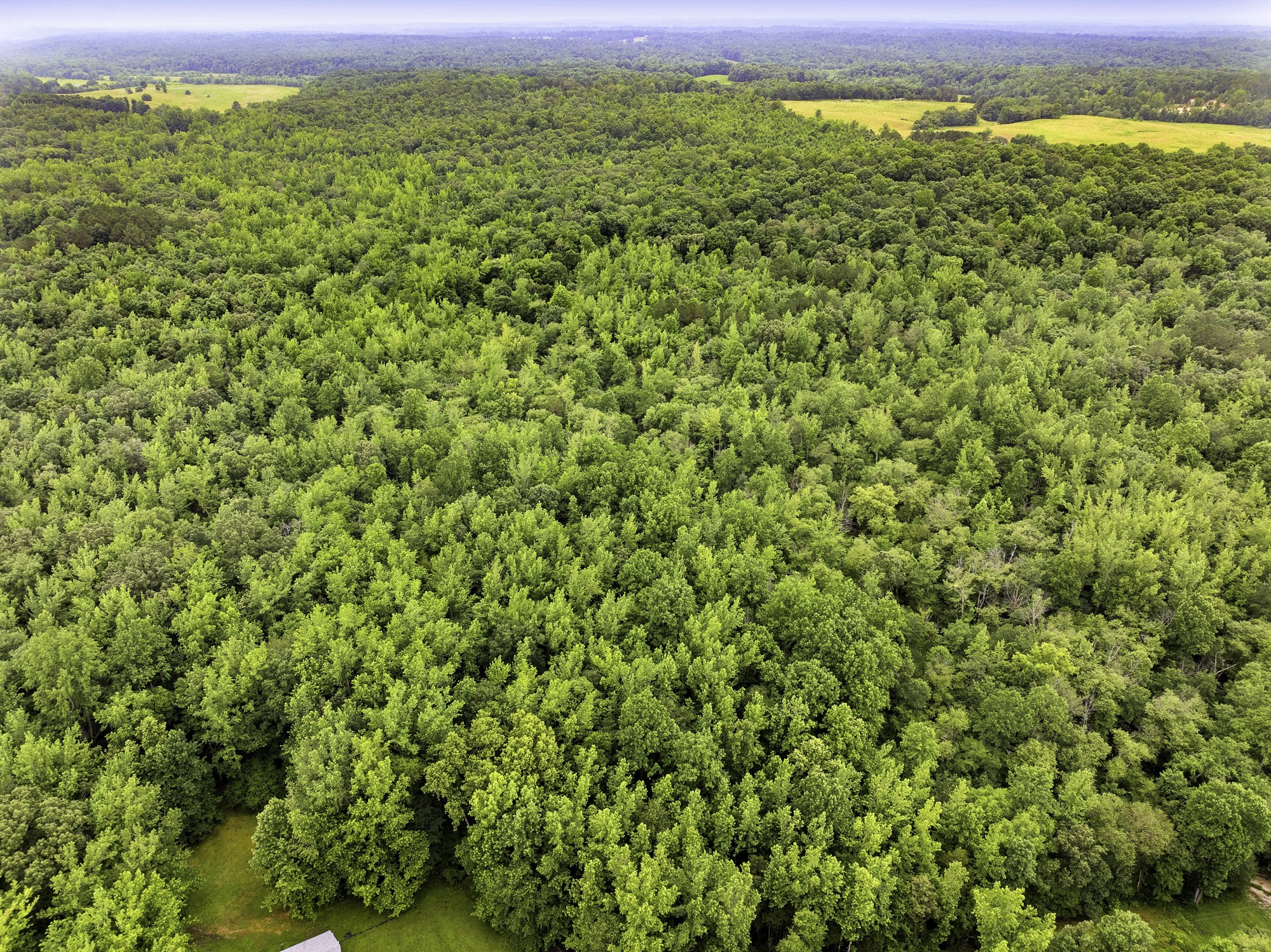 1303 Pugh Road Holladay, TN 38341 - Photo 13 of 32