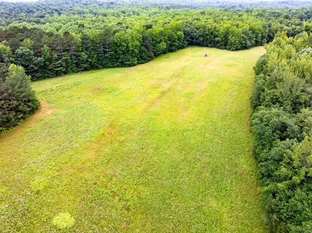a view of a big yard with plants and large trees