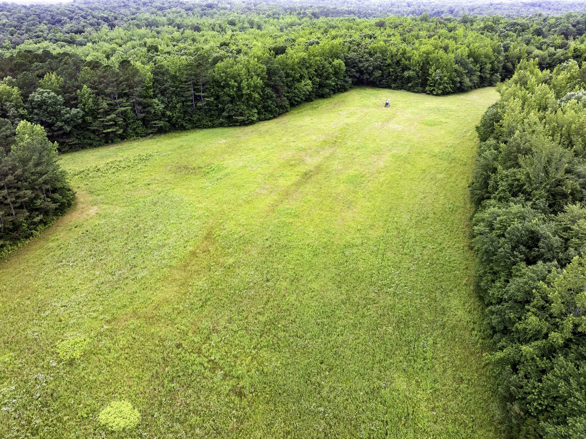 1303 Pugh Road Holladay, TN 38341 - Photo 14 of 32 a view of a large yard with plants