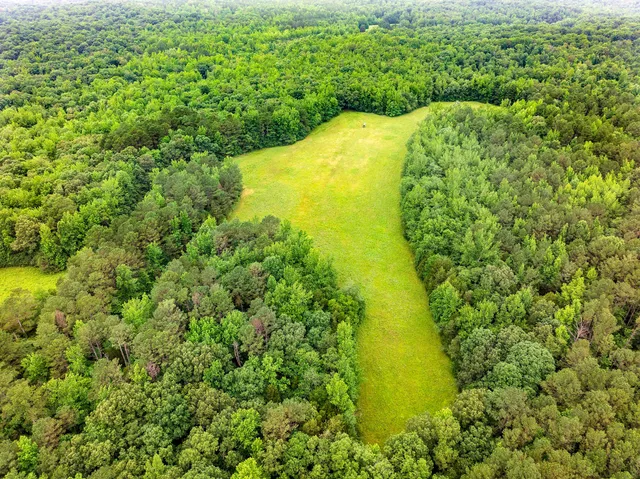 a view of a yard with plants and a small yard