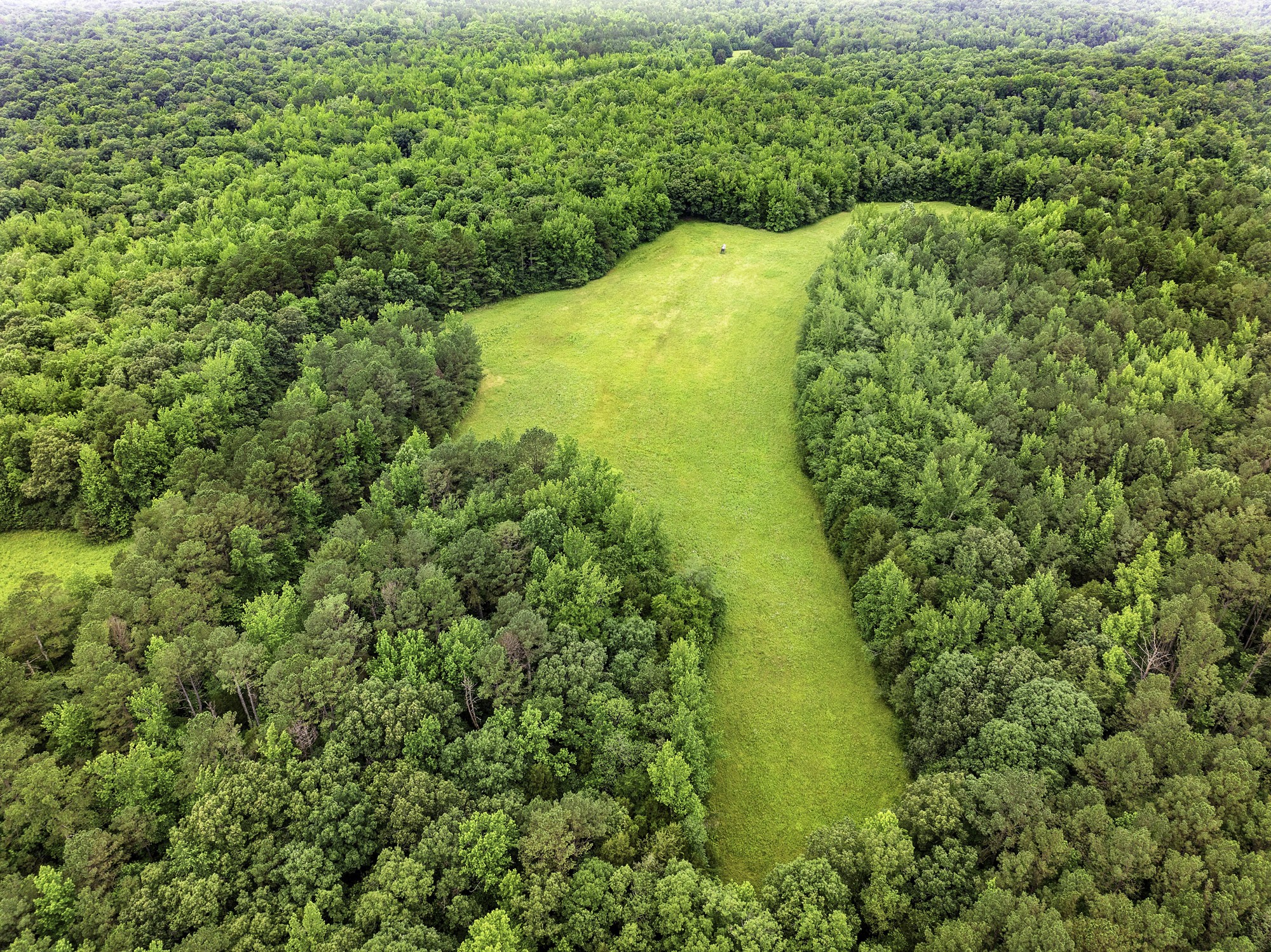 1303 Pugh Road Holladay, TN 38341 - Photo 15 of 32