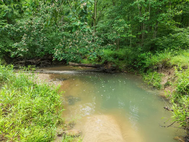 a front view of a house with a yard and green space