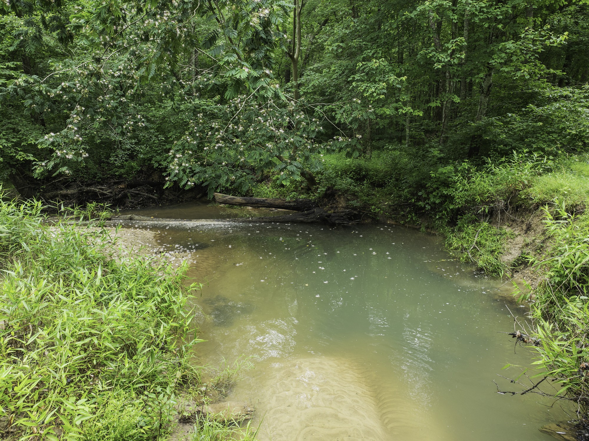 1303 Pugh Road Holladay, TN 38341 - Photo 19 of 32 a view of a lake view