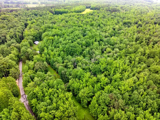 a view of yard with green space