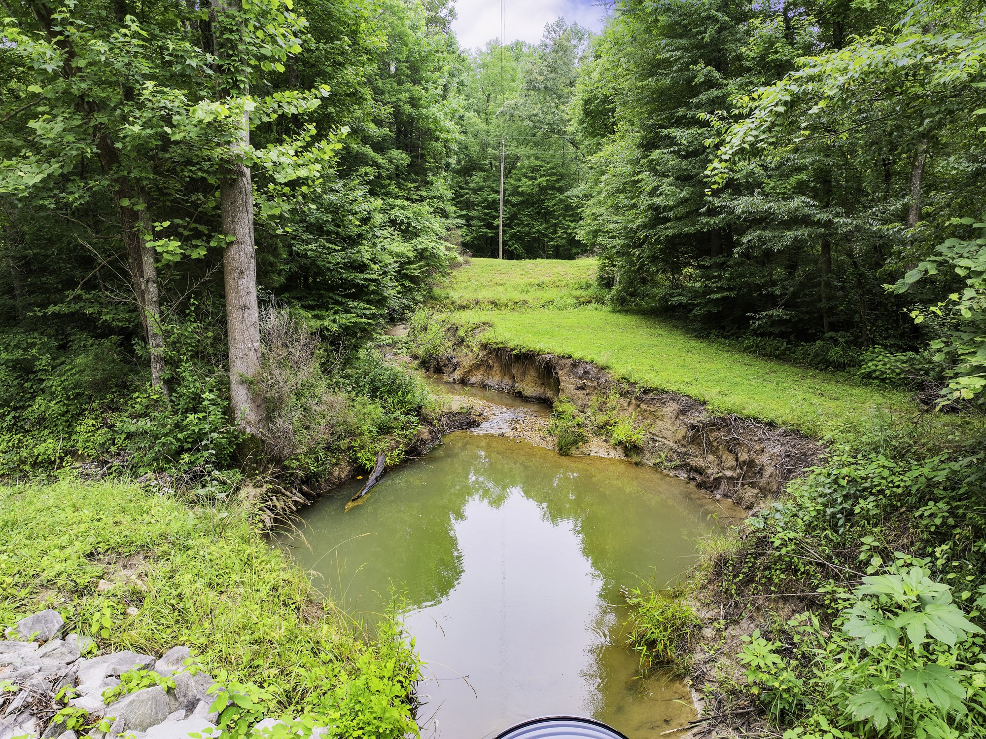 1303 Pugh Road Holladay, TN 38341 - Photo 2 of 32 a view of a lake with houses
