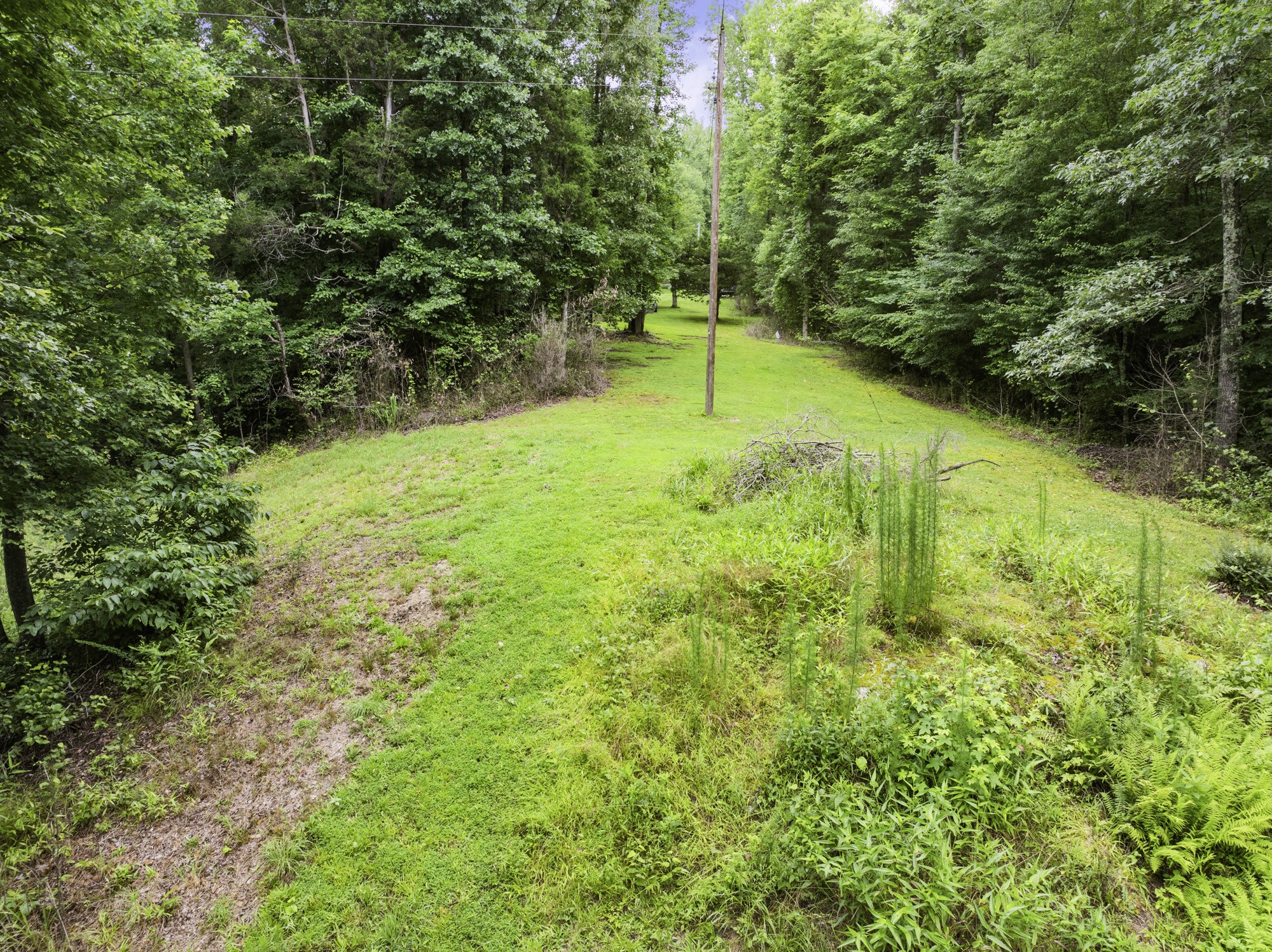 1303 Pugh Road Holladay, TN 38341 - Photo 22 of 32 a view of yard with green space