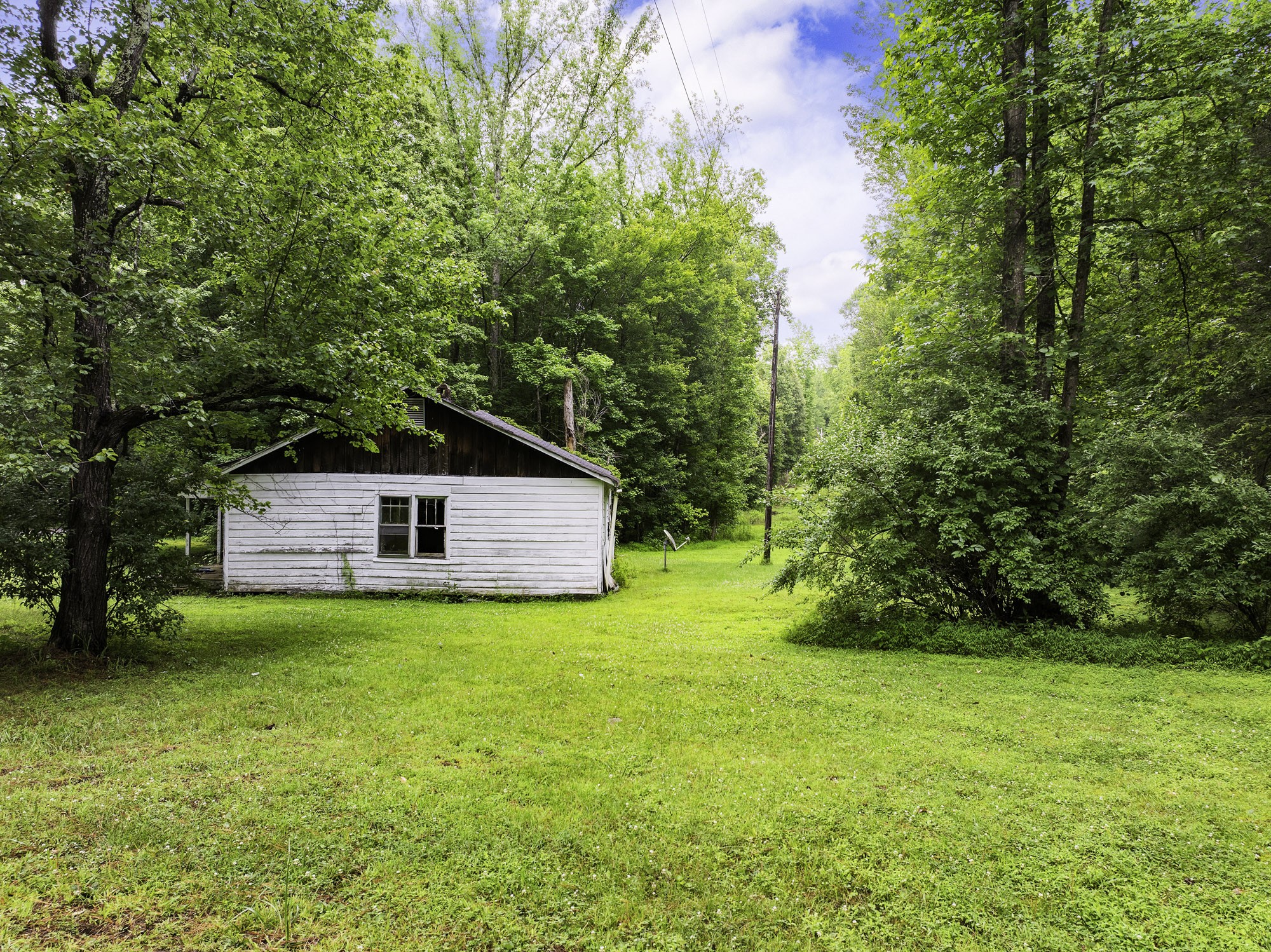 1303 Pugh Road Holladay, TN 38341 - Photo 23 of 32 a house with a yard