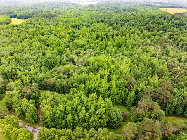 a view of yard with green space