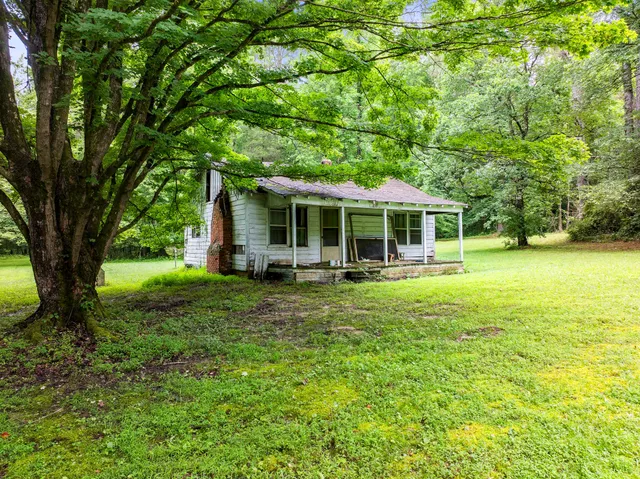 a view of a garden with a bench