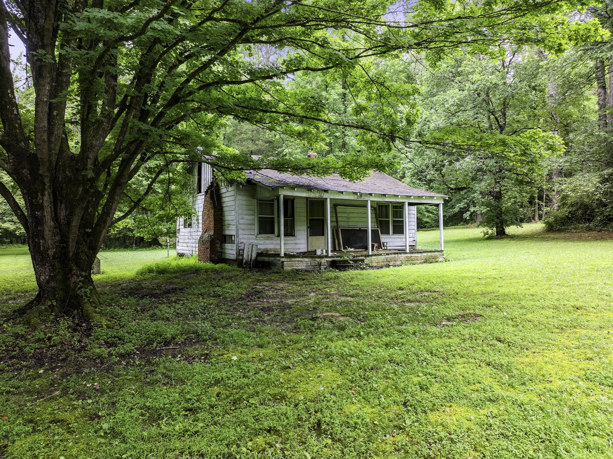 1303 Pugh Road Holladay, TN 38341 - Photo 29 of 32 a view of a house with a backyard