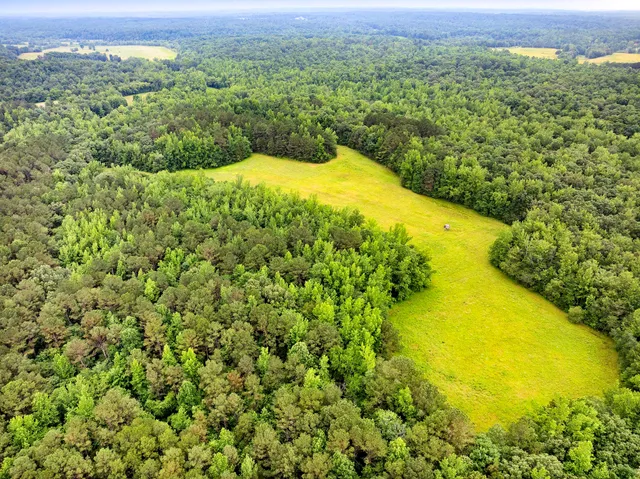 a view of a large yard with lots of green space