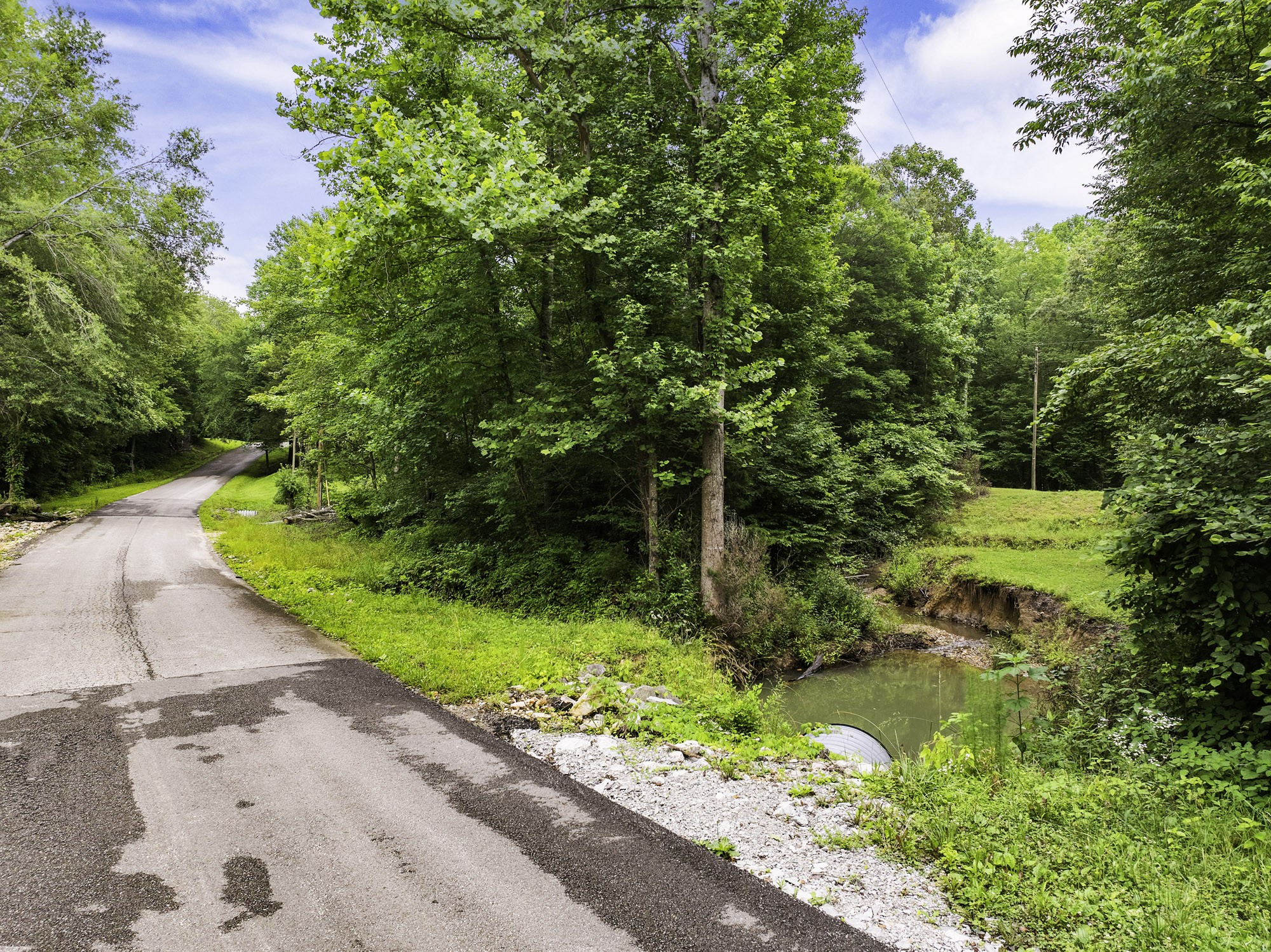 1303 Pugh Road Holladay, TN 38341 - Photo 31 of 32 a view of a garden with a bench