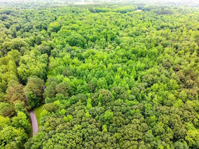 $582,800 | 1303 Pugh Road, Holladay, TN 38341