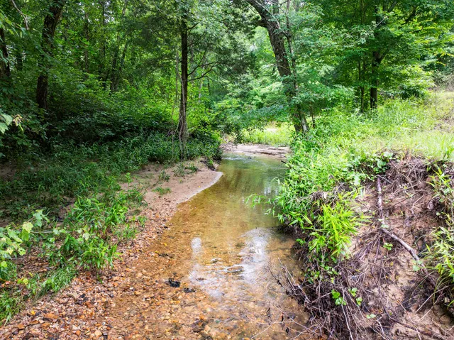 a view of a lake with large trees