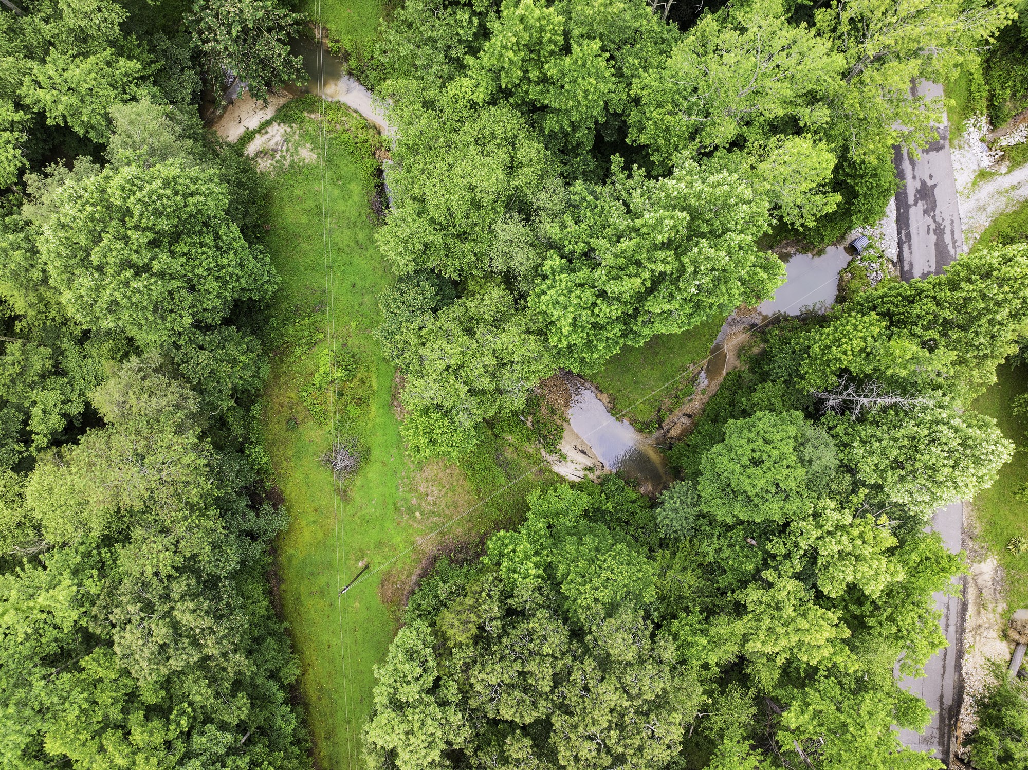 1303 Pugh Road Holladay, TN 38341 - Photo 6 of 32 an aerial view of residential house with outdoor space and trees all around