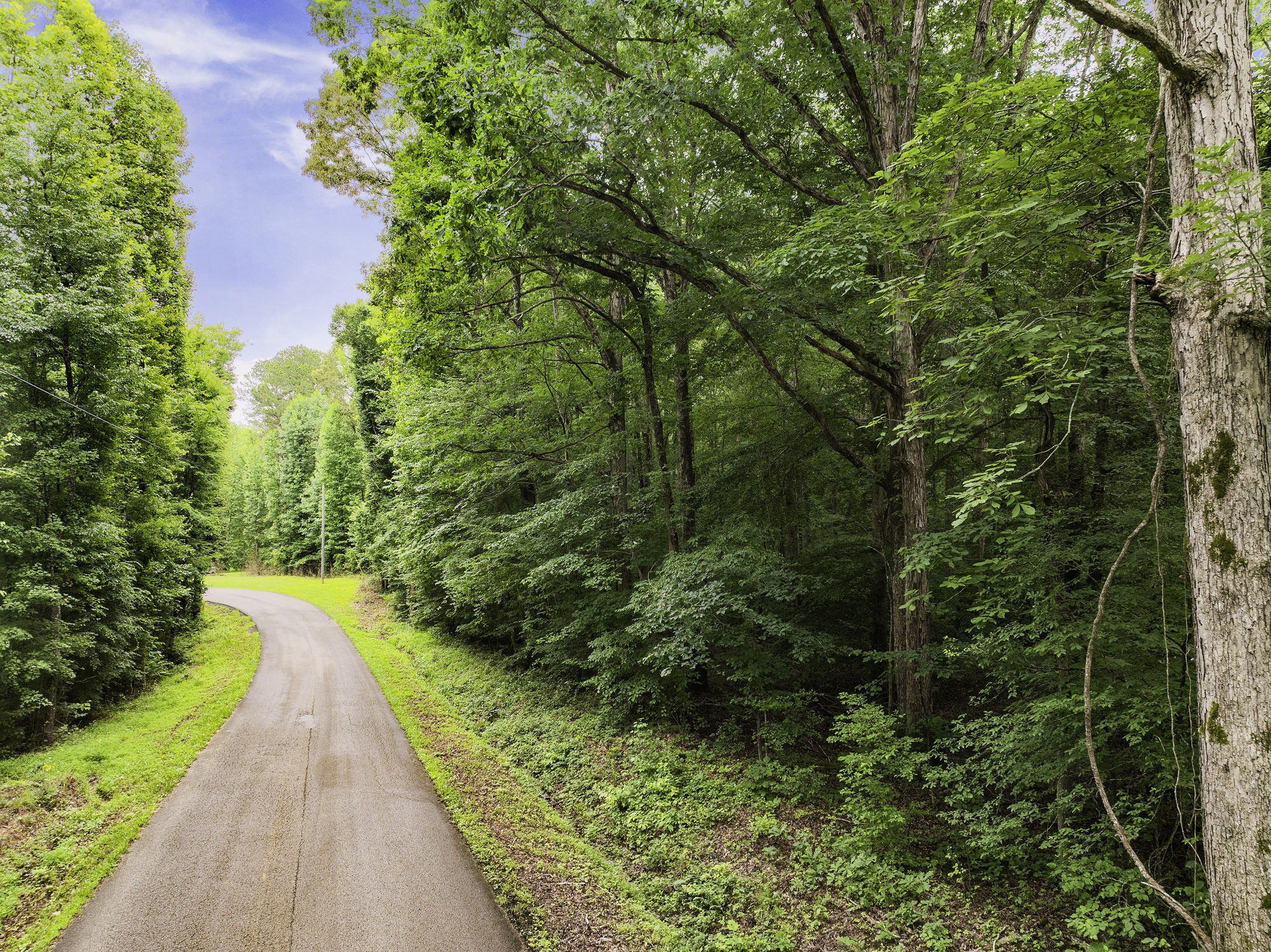 1303 Pugh Road Holladay, TN 38341 - Photo 7 of 32 a view of a pathway both side of building