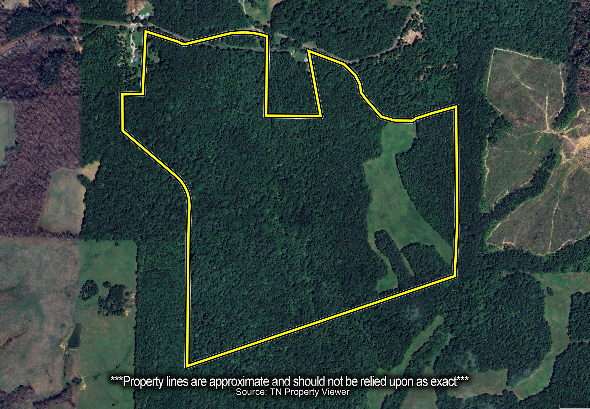 1303 Pugh Road Holladay, TN 38341 - Photo 8 of 32 a bird view of a house