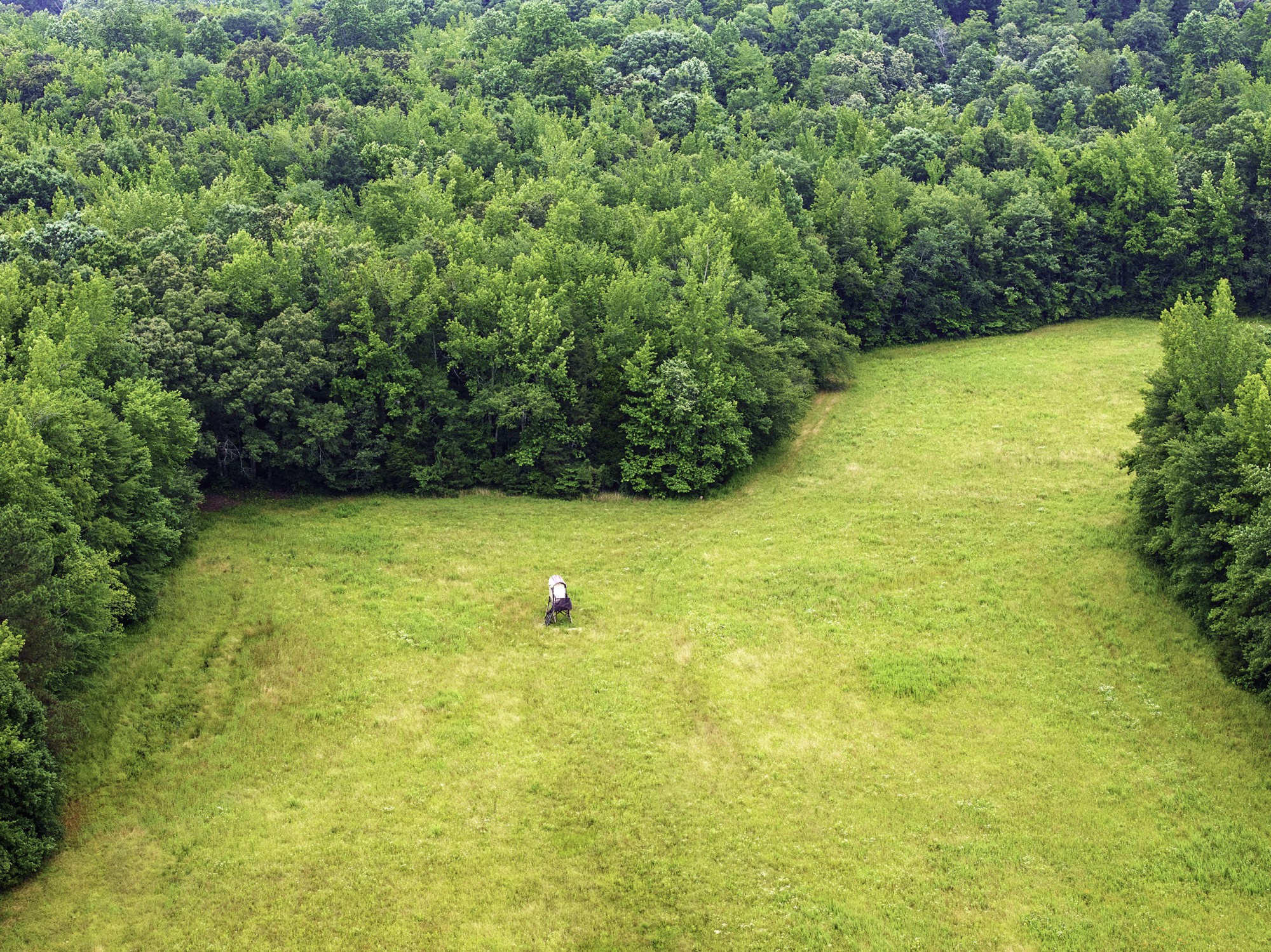 1303 Pugh Road Holladay, TN 38341 - Photo 9 of 32 a view of an ocean view